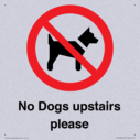 no-dogs-upstairs-please-~